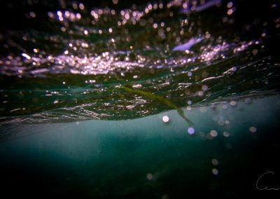 Under the surface